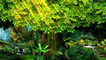 大树爆料视频大全下载  第3张 大树爆料视频大全下载  第3张