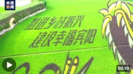 农村爆料标题大全最新图片  第2张 农村爆料标题大全最新图片  第2张