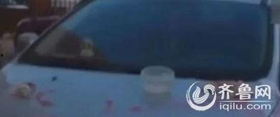 青岛爆料最新视频,揭秘城市新动态与神秘事件  第3张 青岛爆料最新视频,揭秘城市新动态与神秘事件  第3张