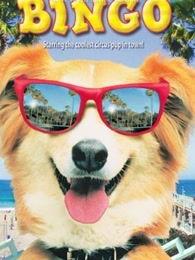 灵犬宾果国语在线观看,国语版动画电影,在线观看,欢乐来袭!  第3张 灵犬宾果国语在线观看,国语版动画电影,在线观看,欢乐来袭!  第3张