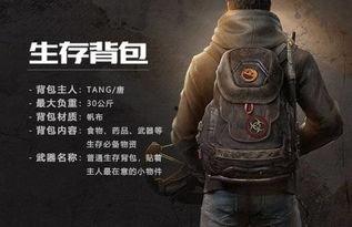 代号最新爆料,揭秘神秘组织背后的惊天秘密  第3张 代号最新爆料,揭秘神秘组织背后的惊天秘密  第3张