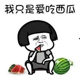 娱乐圈吃瓜有多累,揭秘幕后真相,揭秘明星生活,轻松解锁娱乐圈秘密