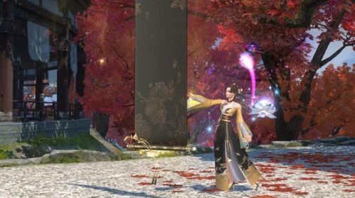 天龙主播爆料视频,揭秘幕后精彩瞬间  第3张 天龙主播爆料视频,揭秘幕后精彩瞬间  第3张