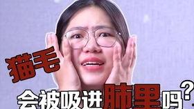 弗列加特最新爆料,尖端科技引领未来军事变革  第2张 弗列加特最新爆料,尖端科技引领未来军事变革  第2张