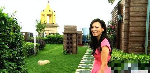 张庭夫妇是谁爆料的视频,娱乐圈背后的惊人真相  第2张 张庭夫妇是谁爆料的视频,娱乐圈背后的惊人真相  第2张